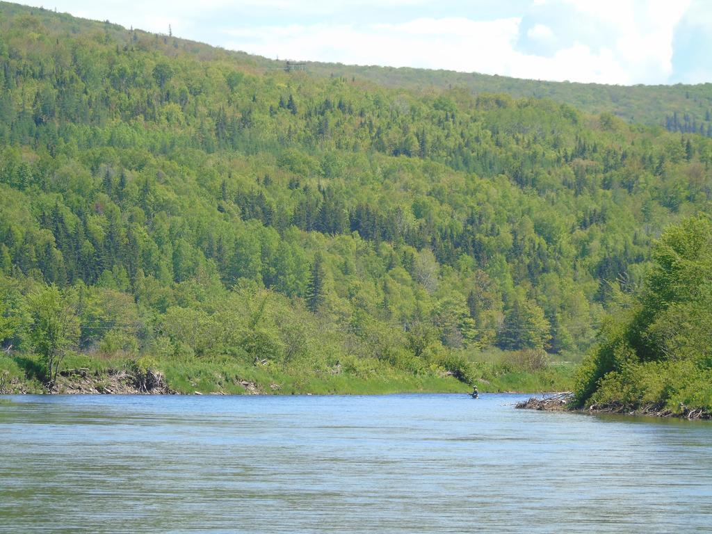Cajun Cedar Log Cottages Margaree Forks Exterior photo