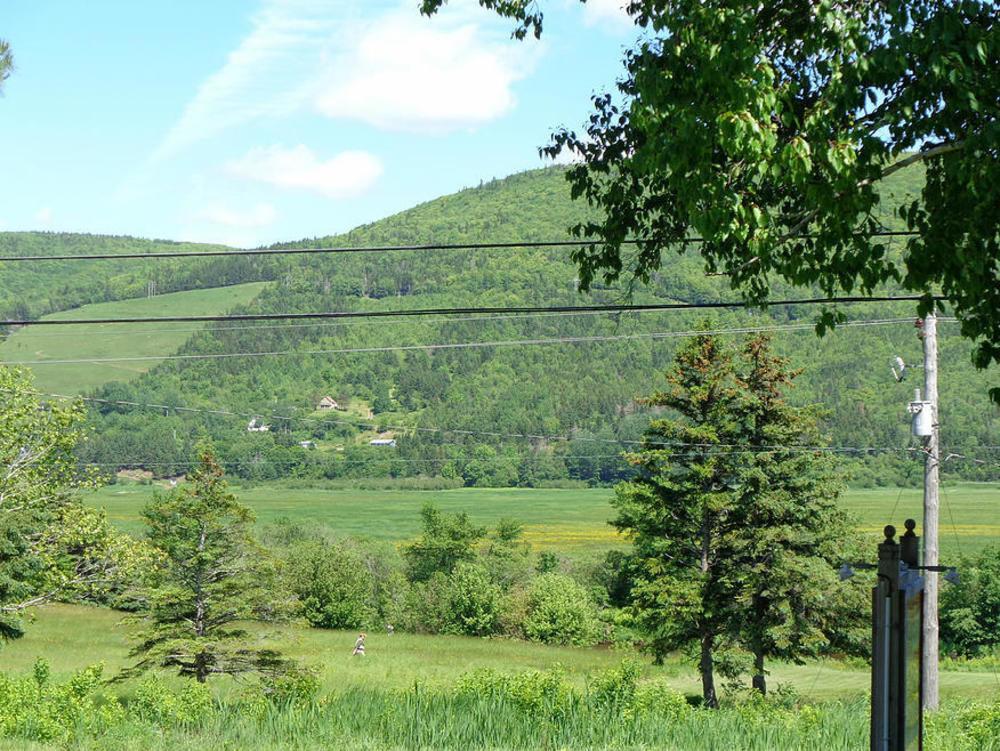 Cajun Cedar Log Cottages Margaree Forks Exterior photo