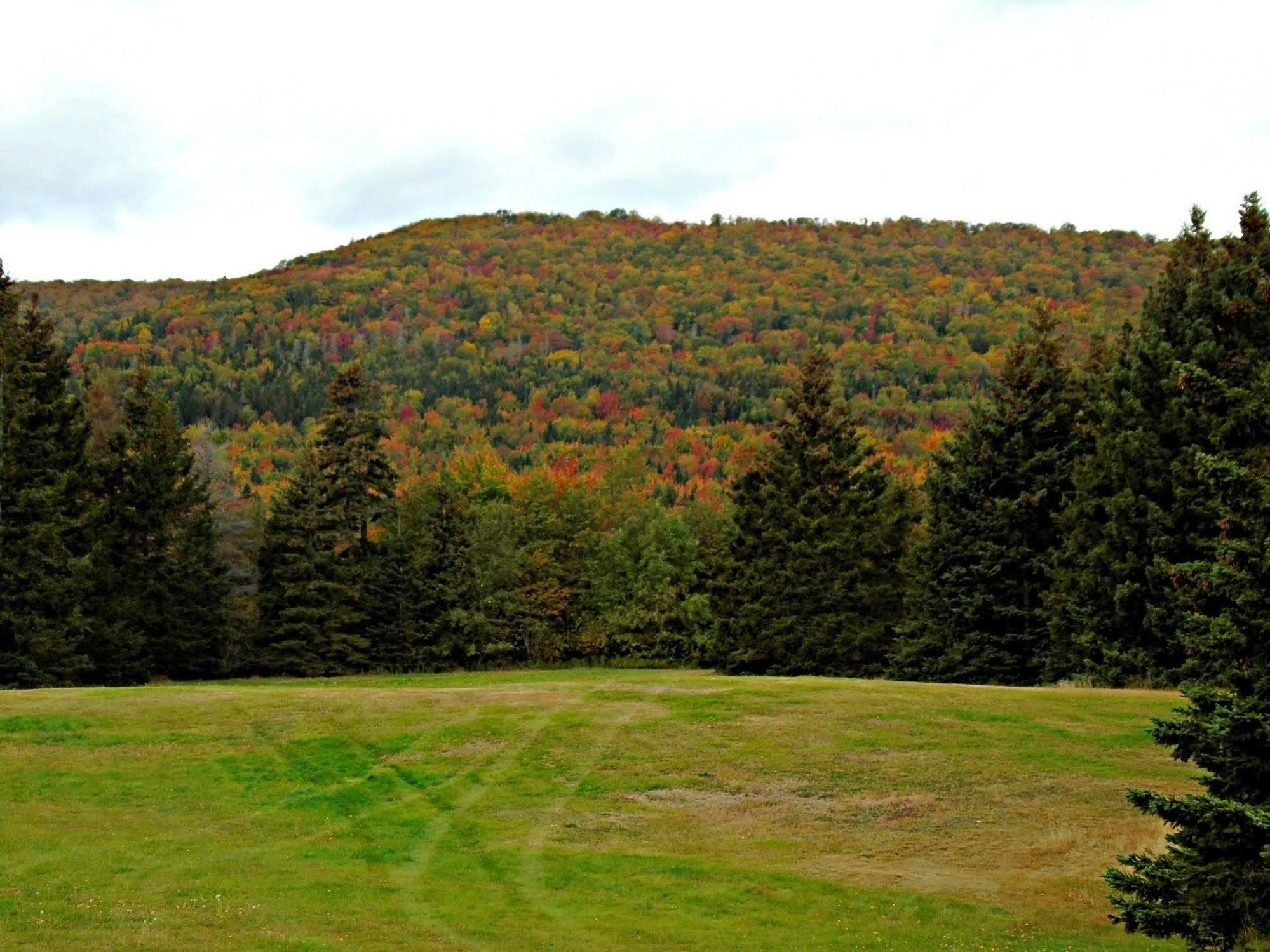 Cajun Cedar Log Cottages Margaree Forks Exterior photo